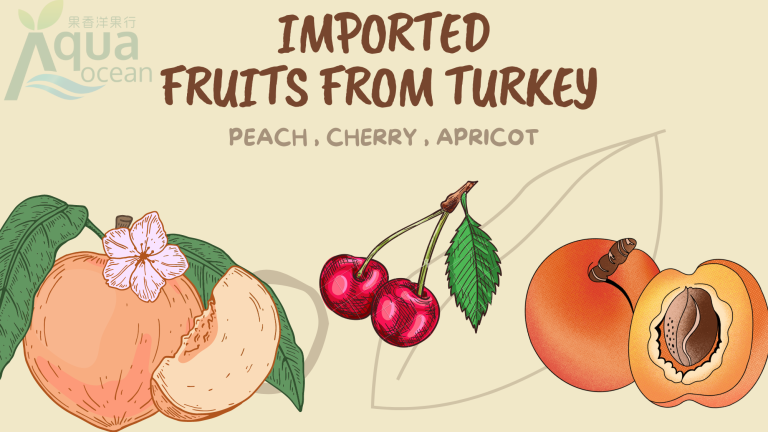 Imported Fruits From Turkey