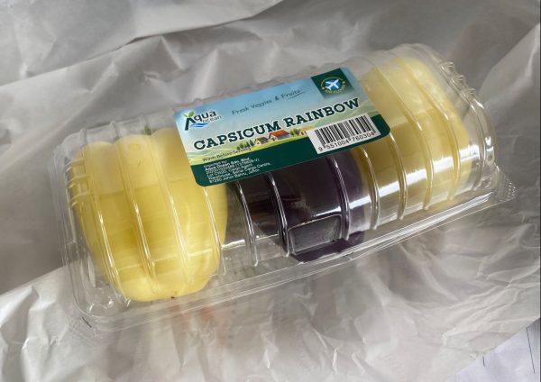 CAPSICUM MIXED 500GX10