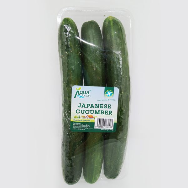 JAPANESE CUCUMBER 330GX20