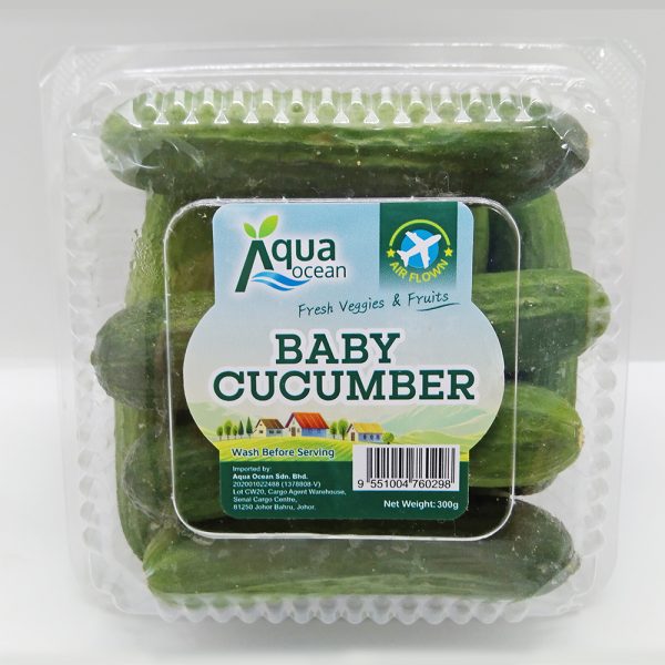 CUCUMBER BABY AQ CAMERON 300GX12