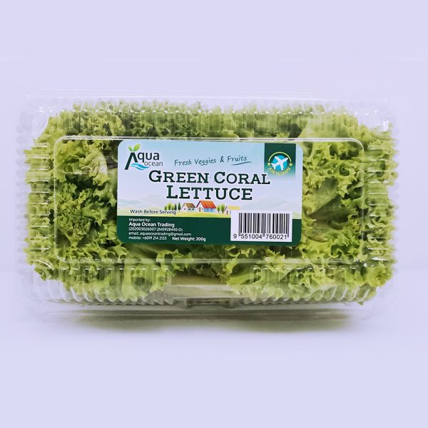 GREEN CORAL LETTUCE AQ CAMERON 200GX15