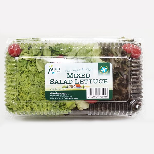 MIXED SALAD LETTUCE AQ CAMERON 230GX15