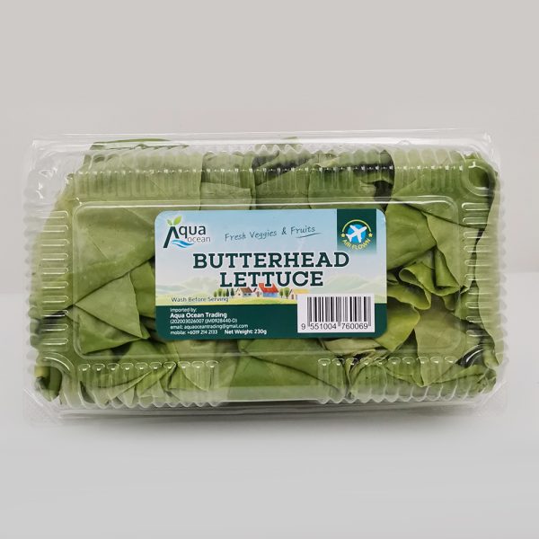 BUTTERHEAD LETTUCE AQ CAMERON 230GX15