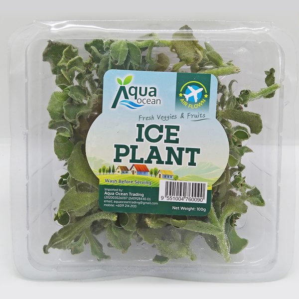 ICE PLANT 100G X 10